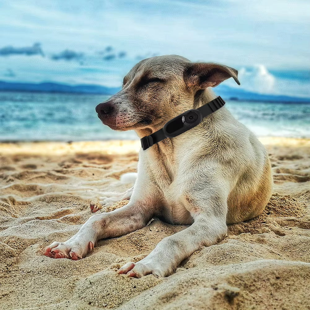 HD 1080P Dog Tracker Collar No Wifi Needed Dog Cat Pet Camera Collar Security Camera Video Records for Cats Dogs Birthday Gift