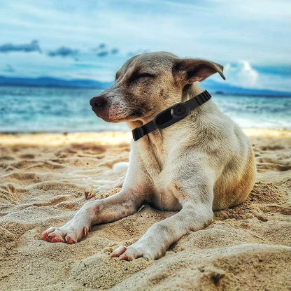 HD 1080P Dog Tracker Collar No Wifi Needed Dog Cat Pet Camera Collar Security Camera Video Records for Cats Dogs Birthday Gift